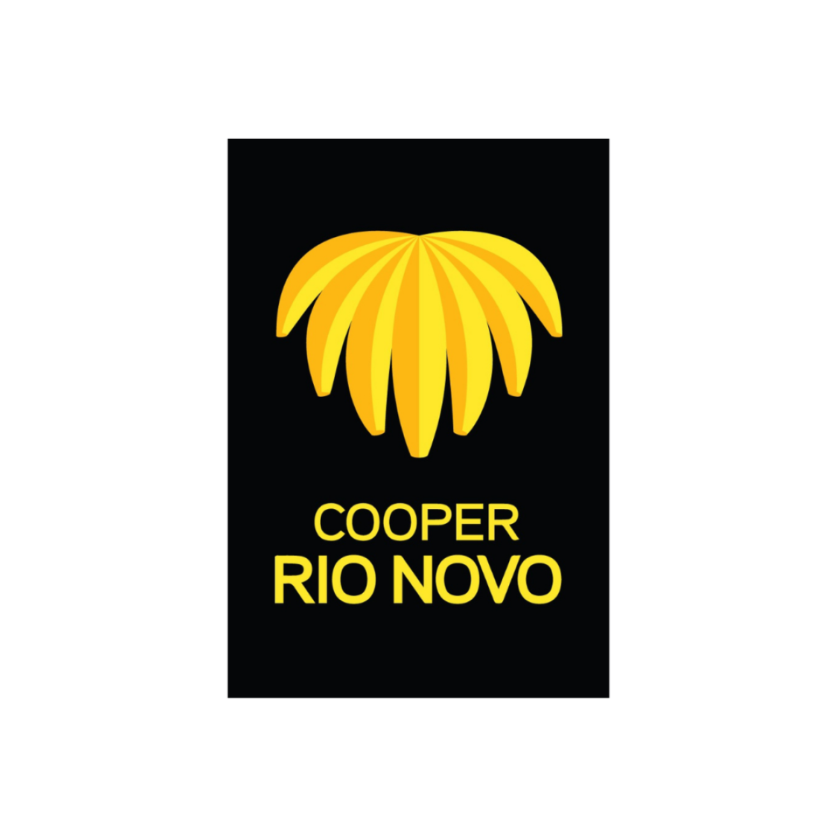 5XL5AUS-cooper_rio_novo.png