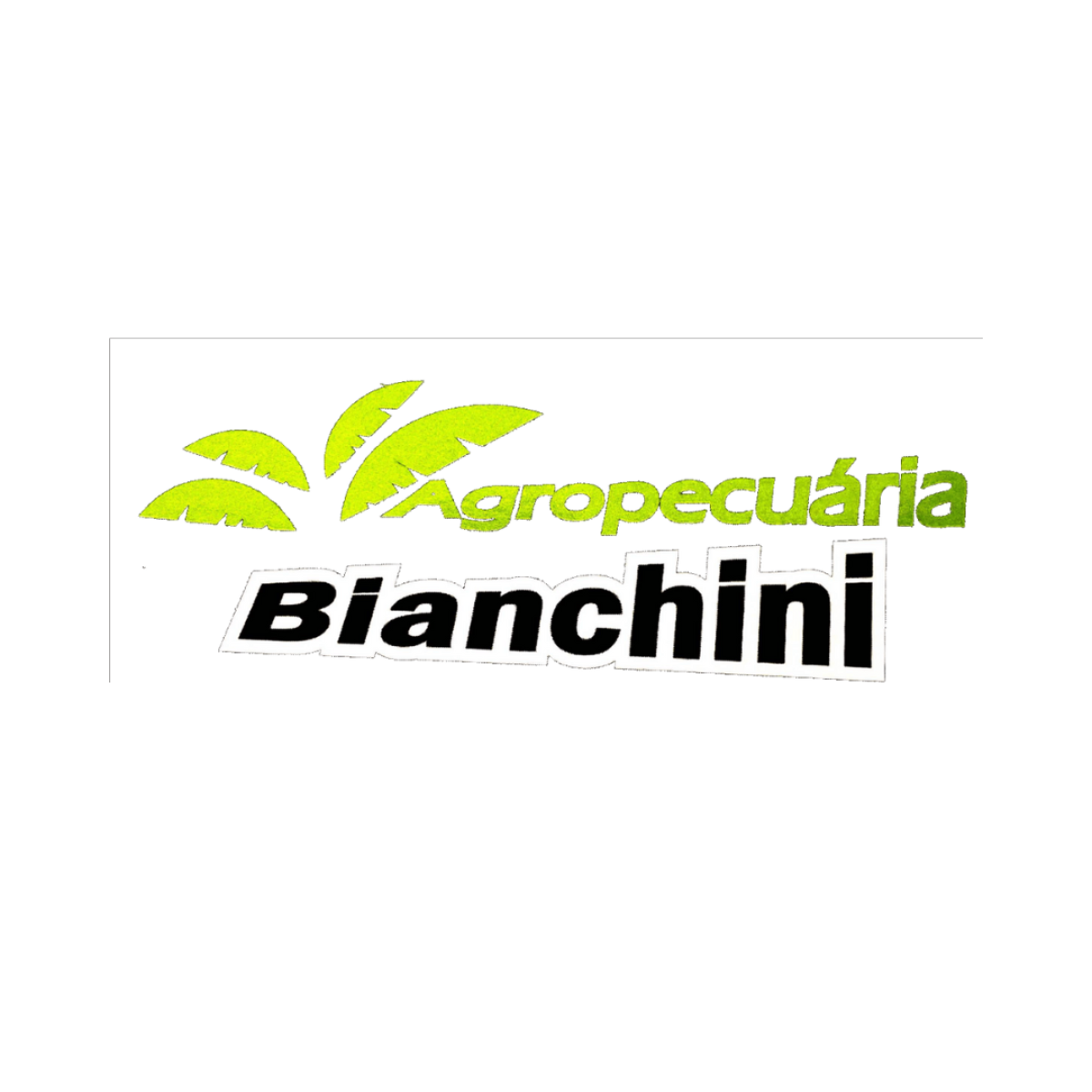 BV1LXZS-agropecuaria_bianchini.png